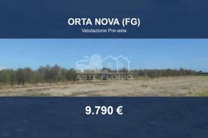 Immobile in asta di 3769 m² a Orta Nova