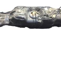 SERBATOIO CARBURANTE FORD Ranger (TKE) eb3g9k007eb