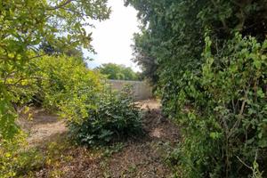 Terreno edificabile a Marrubiu