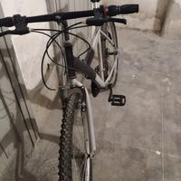 Bici non elettrica