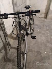 Bici non elettrica