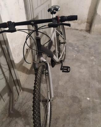 Bici non elettrica