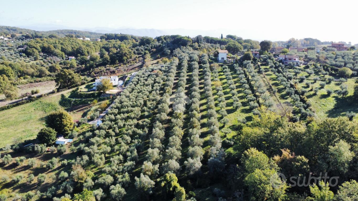TER. AGRICOLO A FIANO ROMANO - Vista 3