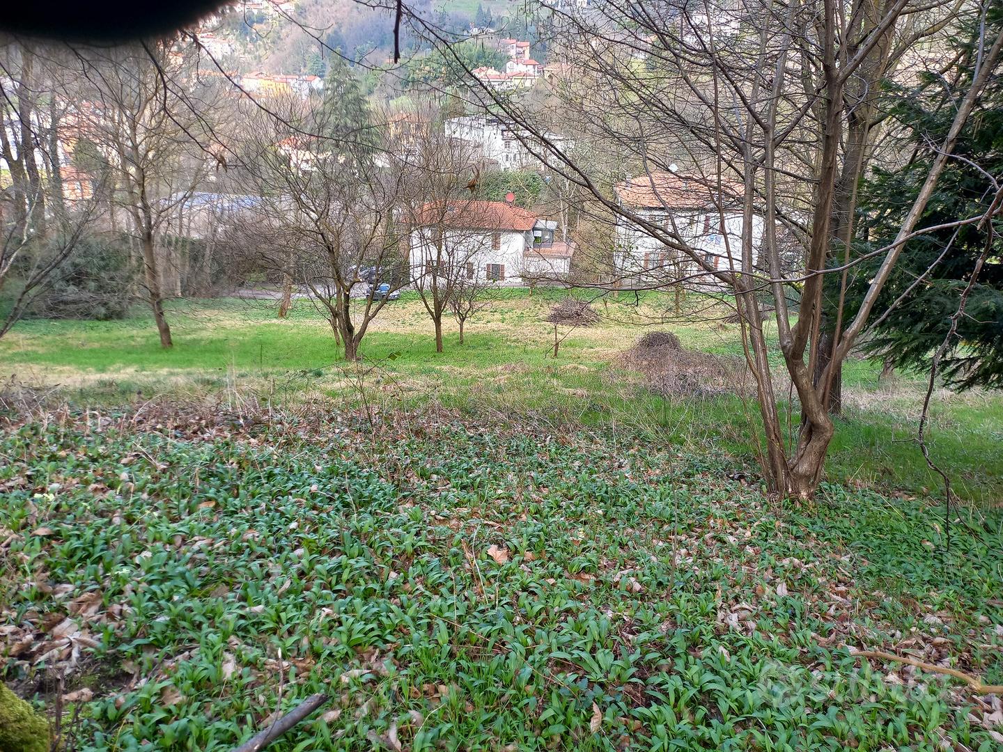 Terreno agricolo - Vista 4