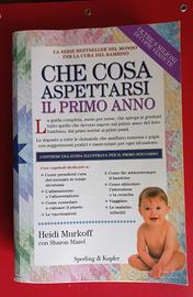 Che cosa aspettarsi il primo anno