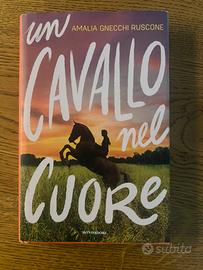 Libro Un cavallo nel cuore