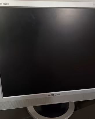 Monitor 17 pollici