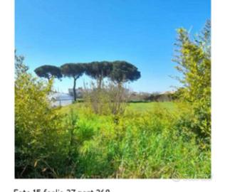 Immobile in asta di 1380 m² a Minturno
