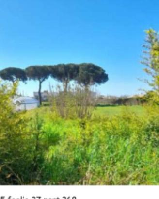 Immobile in asta di 1380 m² a Minturno