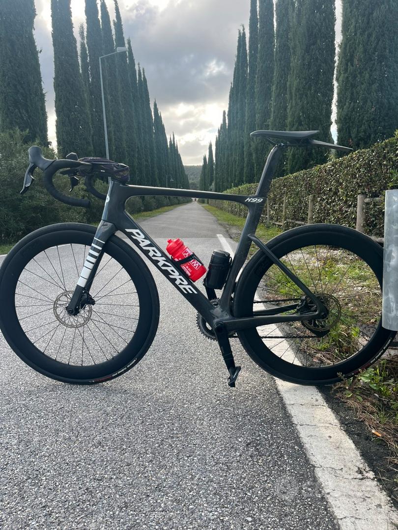 Parkpre K99 – colorazione cangiante Biciclette In vendita a Pisa