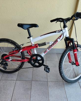 Bicicletta 