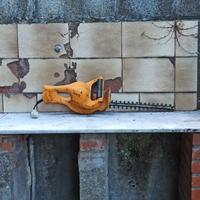 taglia siepe elettrica 