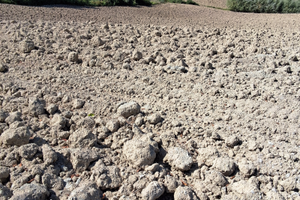 Appezzamento terreno agricolo