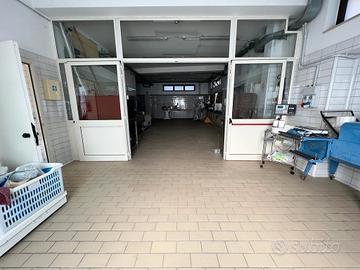 Locale commerciale 350 mq