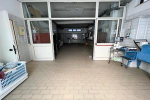 Locale commerciale 350 mq