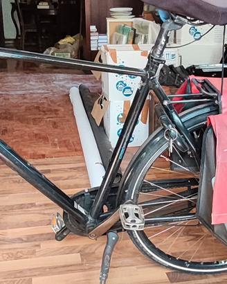 bicicletta xl uomo 