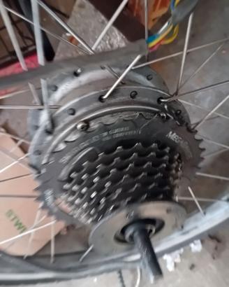 COPIA RUOTE DA 24 POLLICI CON MOTORE