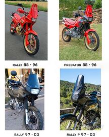 Ricambi Honda Dominator / ricambi triumph tiger