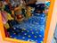Immagine 5