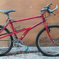 Mountain Pro Bike