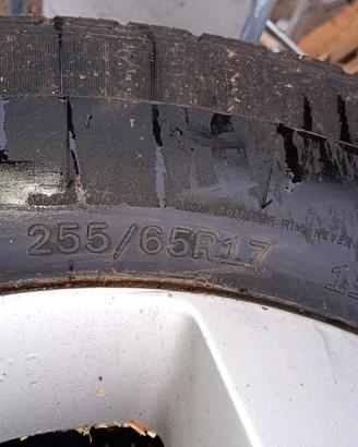 nissan navarra cerchioni