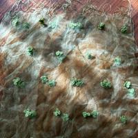 Foulard 65 x180 verde fiori rilievo