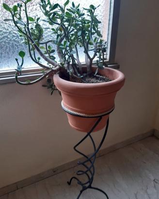 n°3 VASI IN RESINA CON PORTA VASO IN FERRO