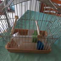 gabbietta per uccelli