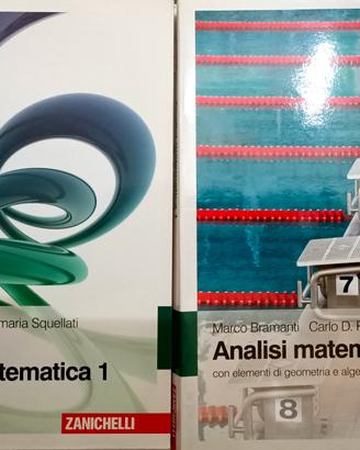 Analisi Matematica 1