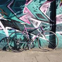 MOSER LEADER, bici da corsa 53x54