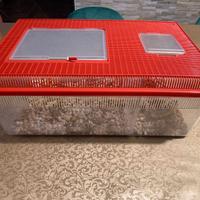 Rettilario in plastica