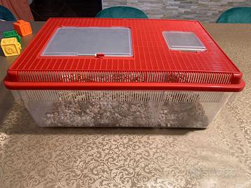 Rettilario in plastica