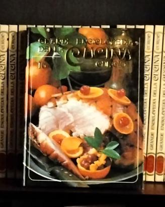 Grande enciclopedia della cucina curcio