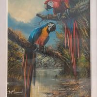 quadro pappagallo a olio Brasile