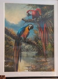 quadro pappagallo a olio Brasile