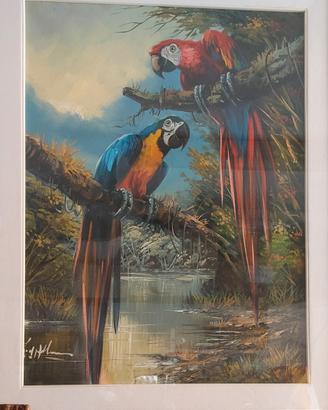 quadro pappagallo a olio Brasile