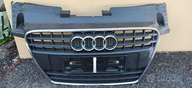 griglia audi tt