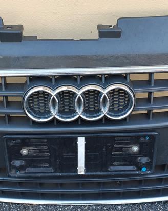 griglia audi tt