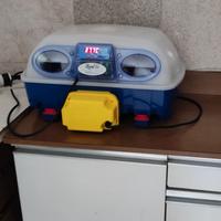 Incubatrice Borotto real 24 automatica.