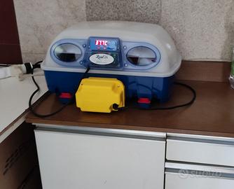 Incubatrice Borotto real 24 automatica.