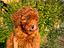 Immagine 9