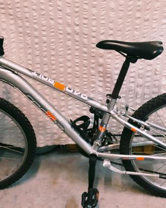 bicicletta Regina