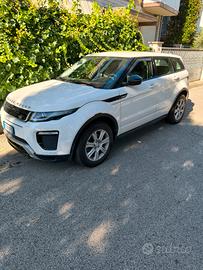 Evoque 150 cv