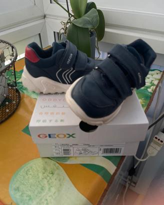 Scarpe Geox Ciuf Ciuf tg. 25 per bambino col. Blu