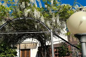 Luglio a San Vito lo Capo/app.to Blu 5 PL+ p.auto