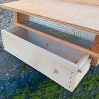 trappole raccolta polline (modello pitarresi)