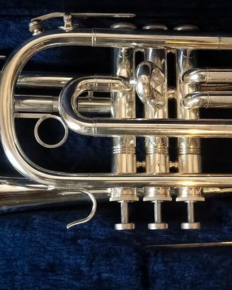 Cornetta Amati ACR-201 silver