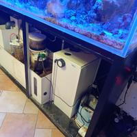 Acquario marino completo