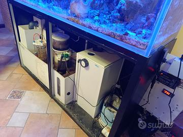Acquario marino completo