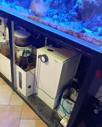 Acquario marino completo